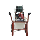 Pulverizador de Carrinho 100L 2T